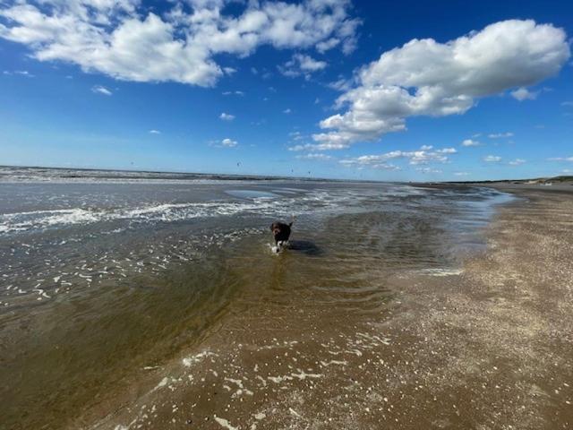Zeebedstay ノールトウェイク エクステリア 写真